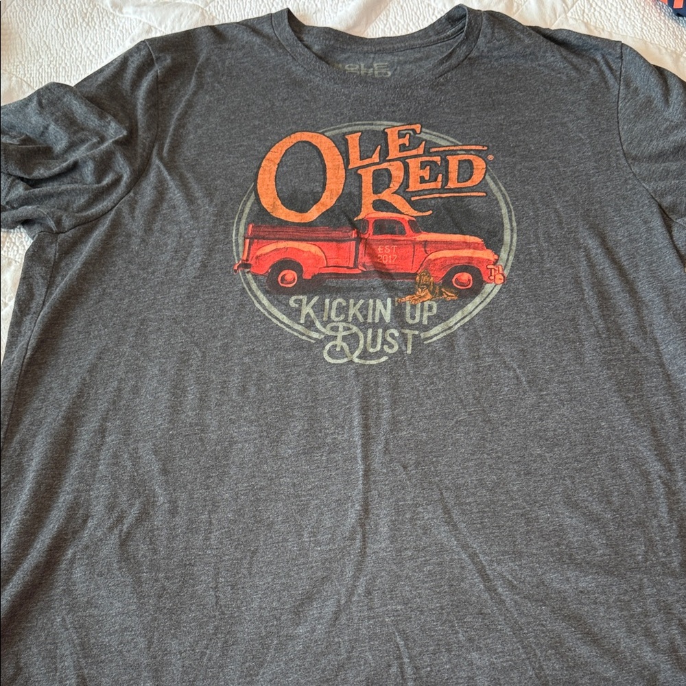 Gray Graphic T-Shirt